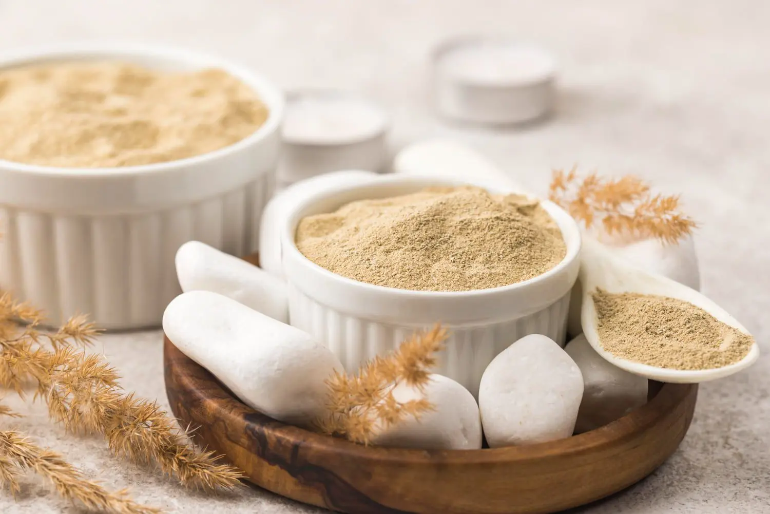 Asafoetida Substitutes