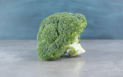 Mystery Behind Craving Broccoli